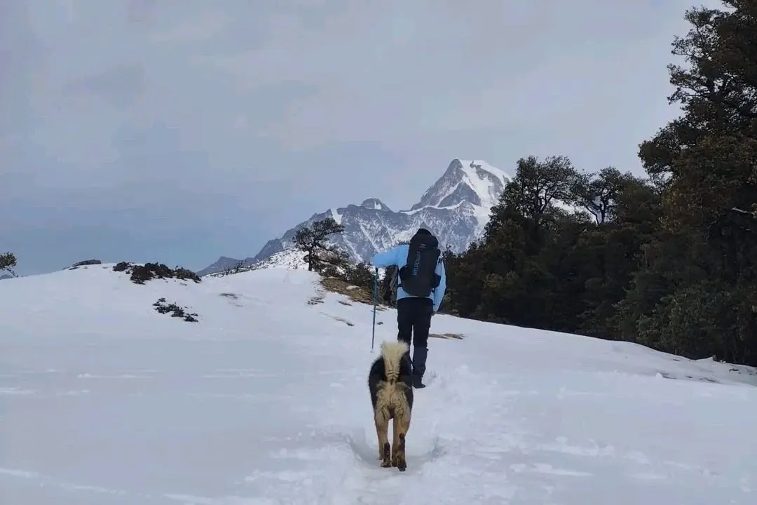 Trek Of Himalyas cover photo