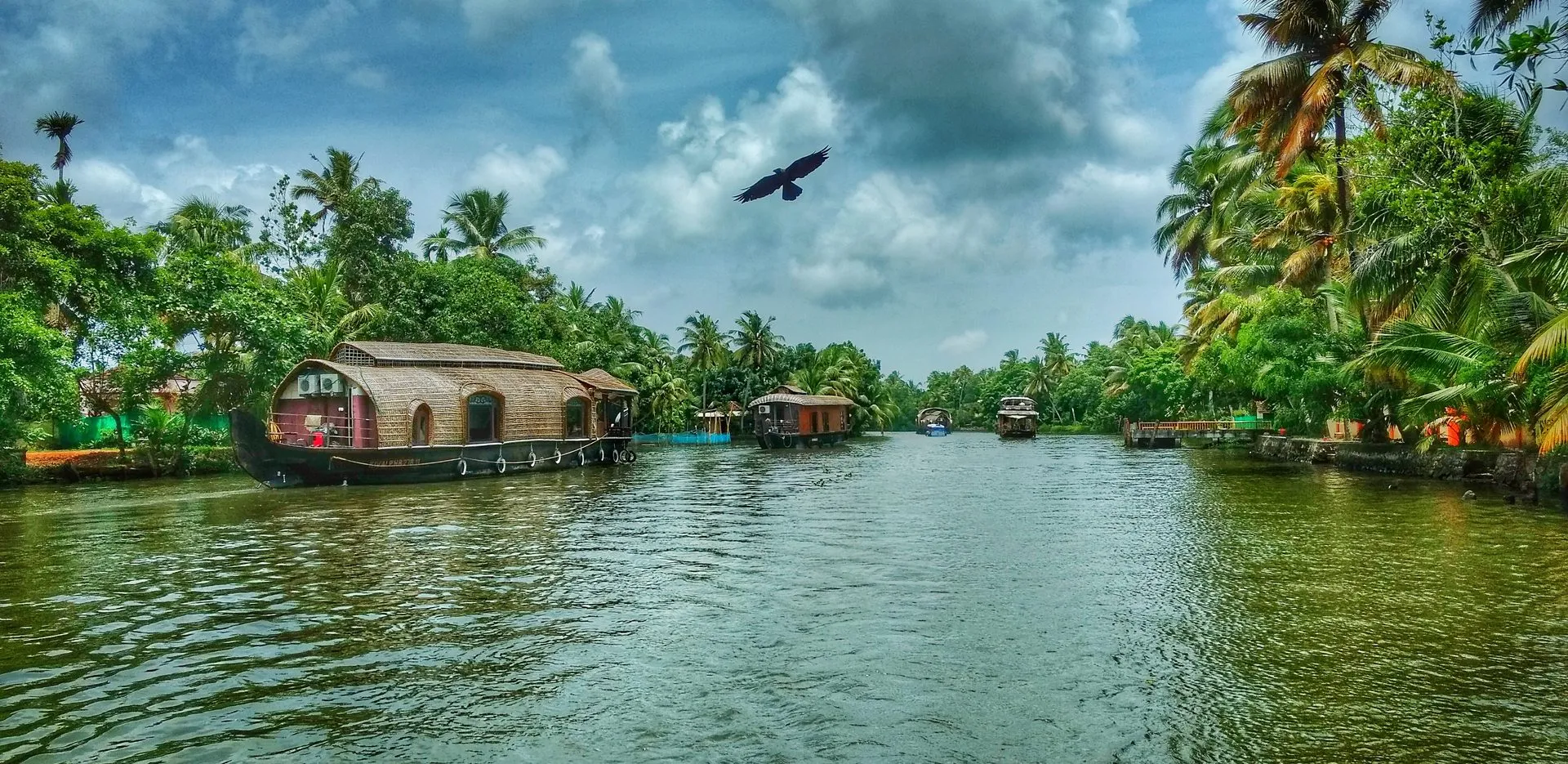 Kerala Monsoon Trip — hero photo