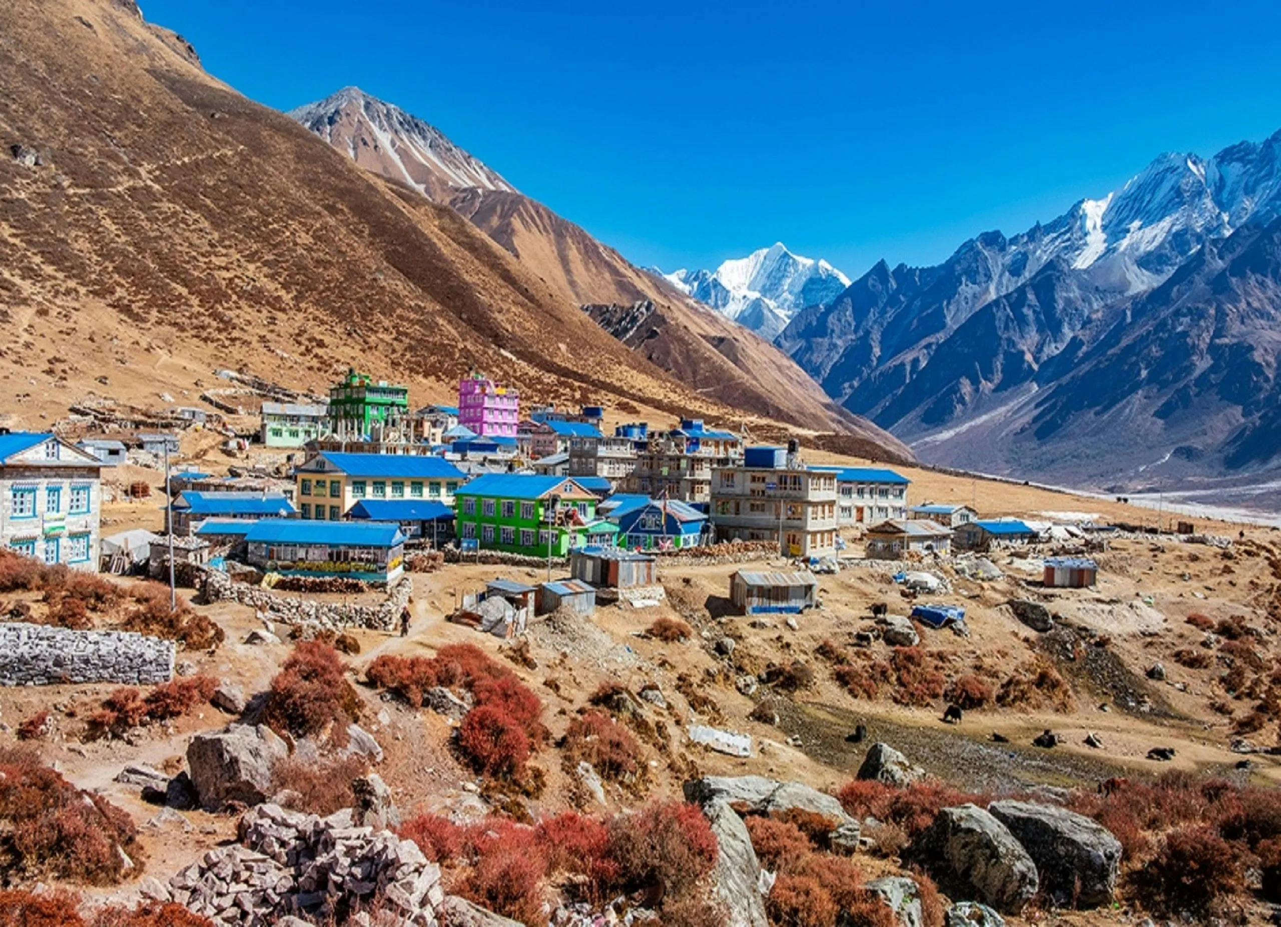 Langtang Valley Trek – Culture, Mountains & Adventure — hero photo