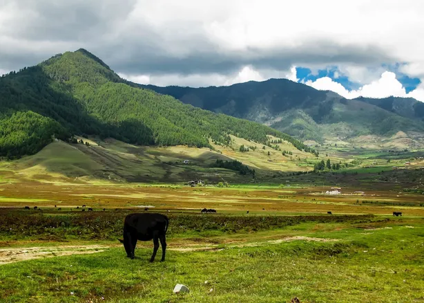 Ladies Special Bhutan Tour - 8 Days — photo 2
