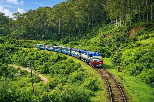 Mysore-ooty-coorg — photo 3