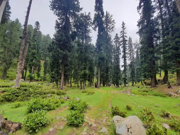 4n Kashmir - Valley To Glacier — photo 2
