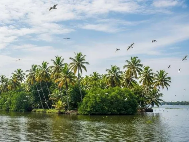 Kerala 4n Romantic Getaway — photo 4