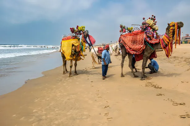 Golden Triangle Of Odisha — photo 2