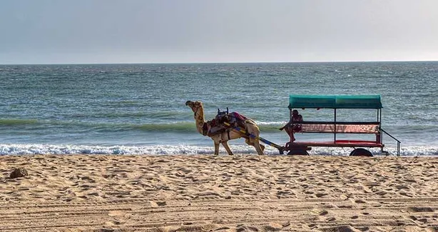 Colours Of Kutch: Desert, Heritage & Coast — photo 5