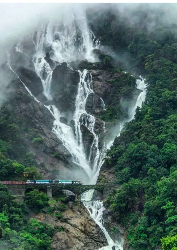 Goa Glowing Go Trip — photo 4