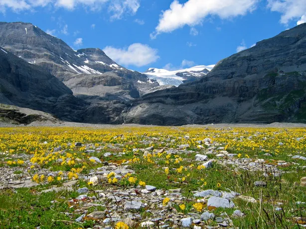 Magical Switzerland – Jungfrau, Matterhorn & Alpine Adv — photo 4