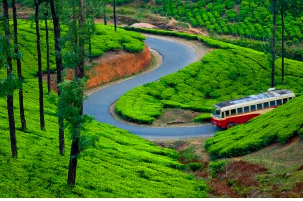Flawless Kerala Explore — photo 4