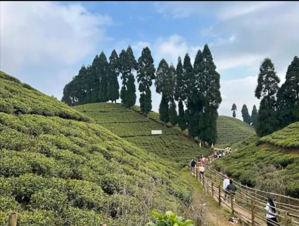 Darjeeling -queen Of Hills — photo 4