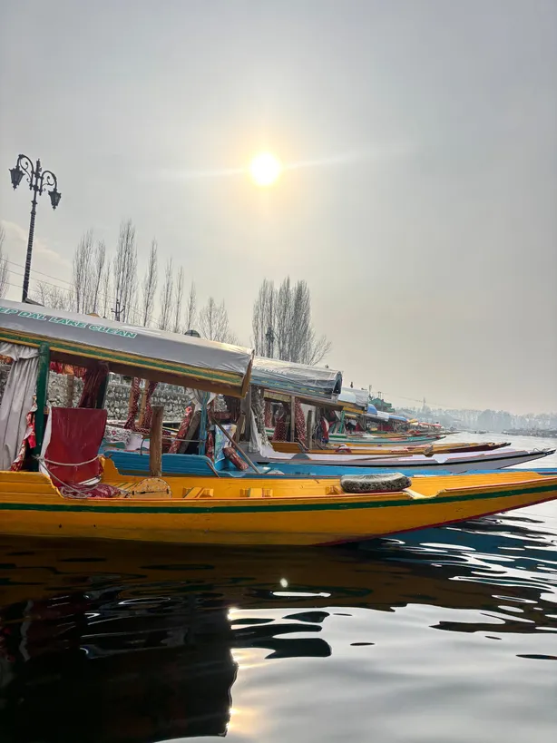 5n 6 Days Weekend Magic In Kashmir — photo 3