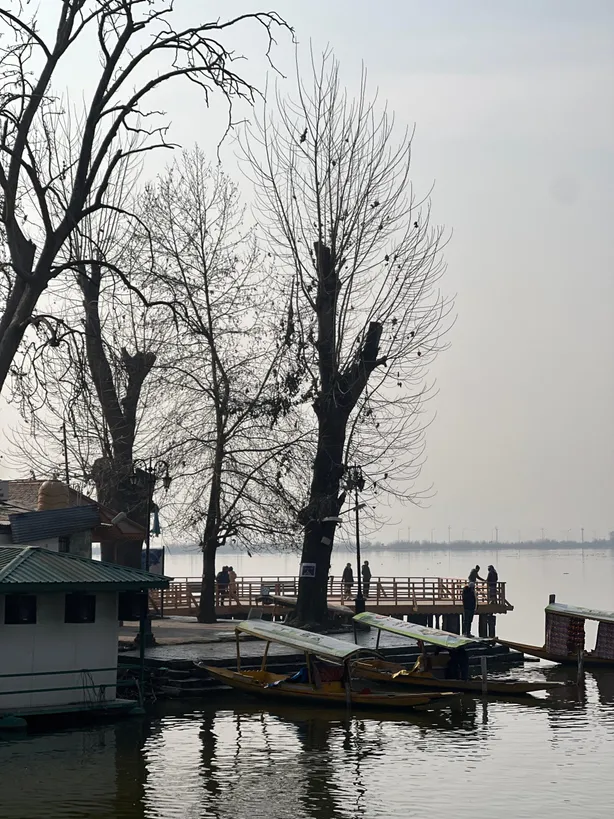 Joyfull Kashmir Trip — photo 4