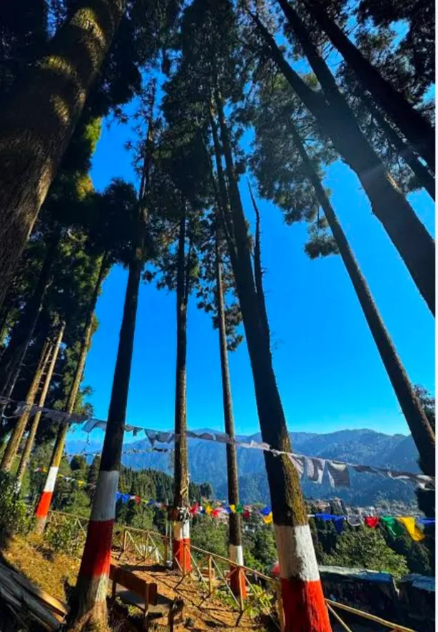 Kalimpong & Darjeeling Combo Group Tour — photo 4