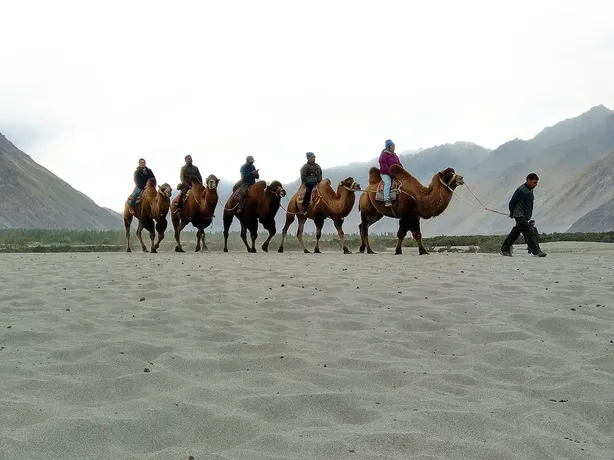 Ultimate Ladakh Explorer – 6 Nights / 7 Days — photo 5