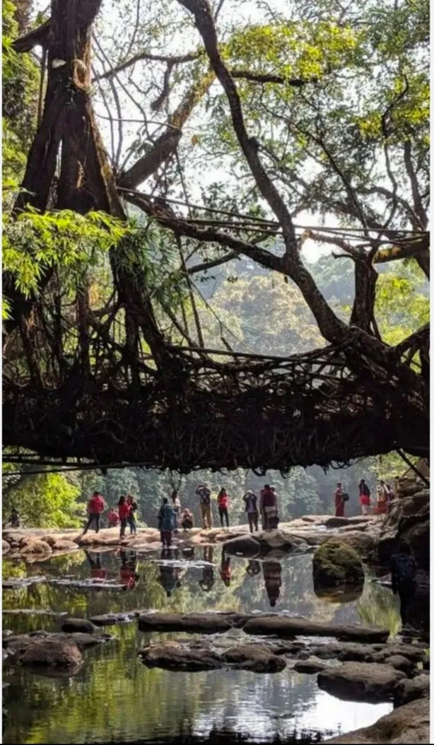 Meghalaya Explore — photo 2