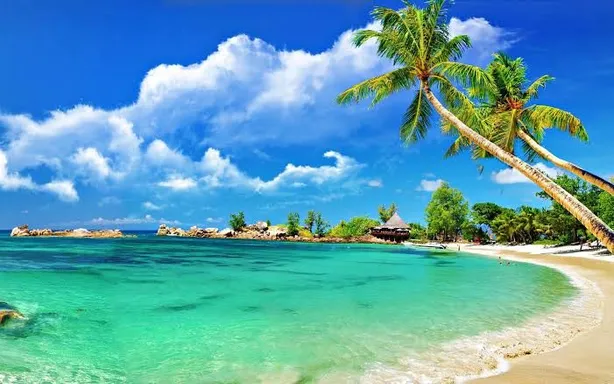 Special Long Weekend Goa Package — photo 4