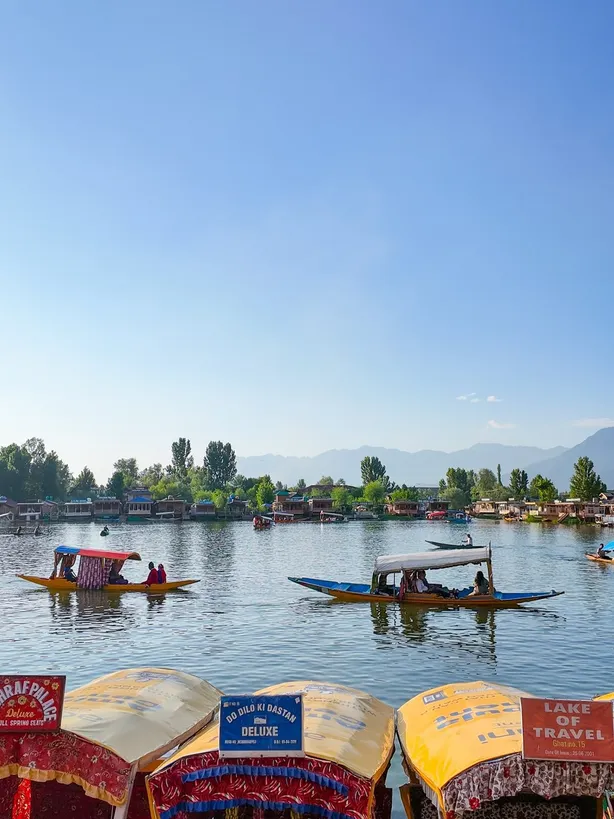 Kashmir Calling: Your Journey To Paradise — photo 5