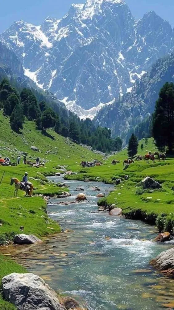 5 N Kashmir Exclusive  5n/6d · Stay + Houseboat — photo 3