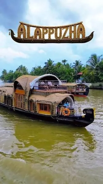 Kerala Monsoon Trip — photo 5