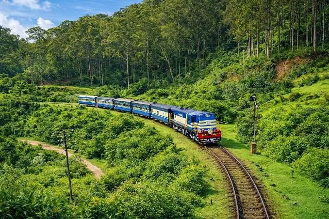 Mysore-ooty-coorg — photo 3