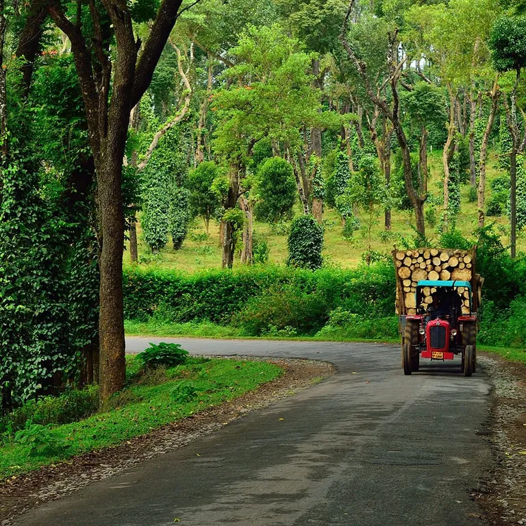 Mysore-ooty-coorg — photo 2