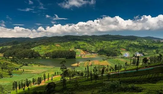 Mysore-ooty-coorg — photo 5
