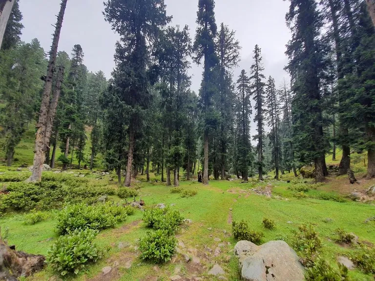 4n Kashmir - Valley To Glacier — photo 2