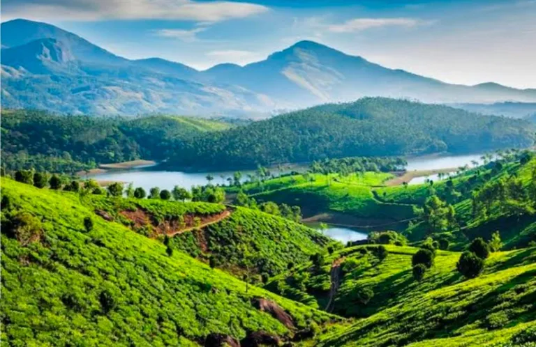 Flawless Kerala Explore — photo 3