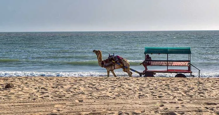 Colours Of Kutch: Desert, Heritage & Coast — photo 5