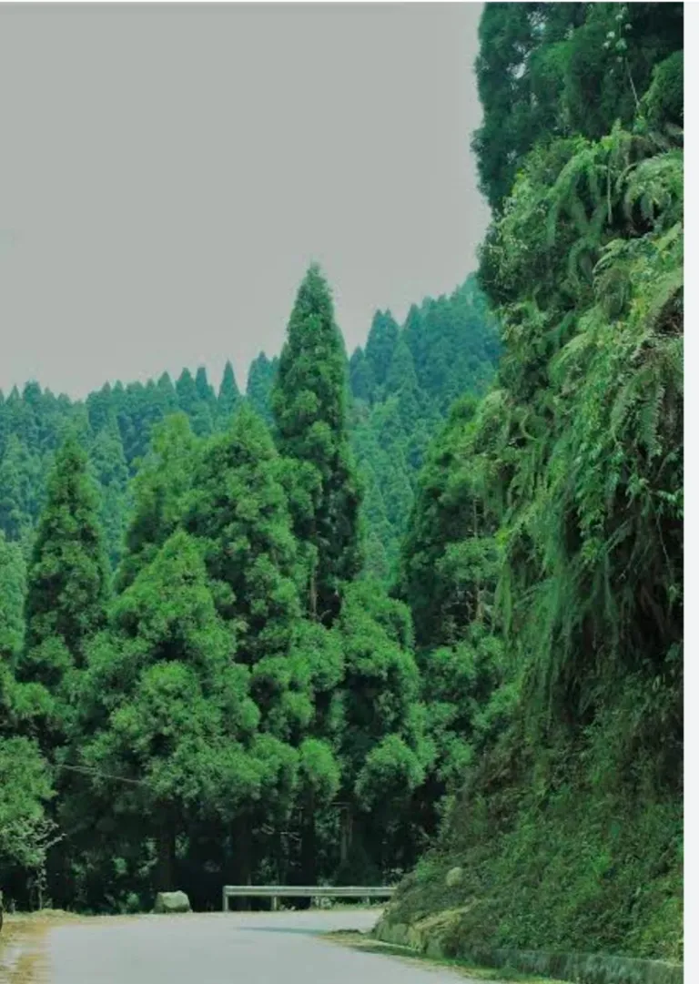Kalimpong & Darjeeling Combo Group Tour — photo 3