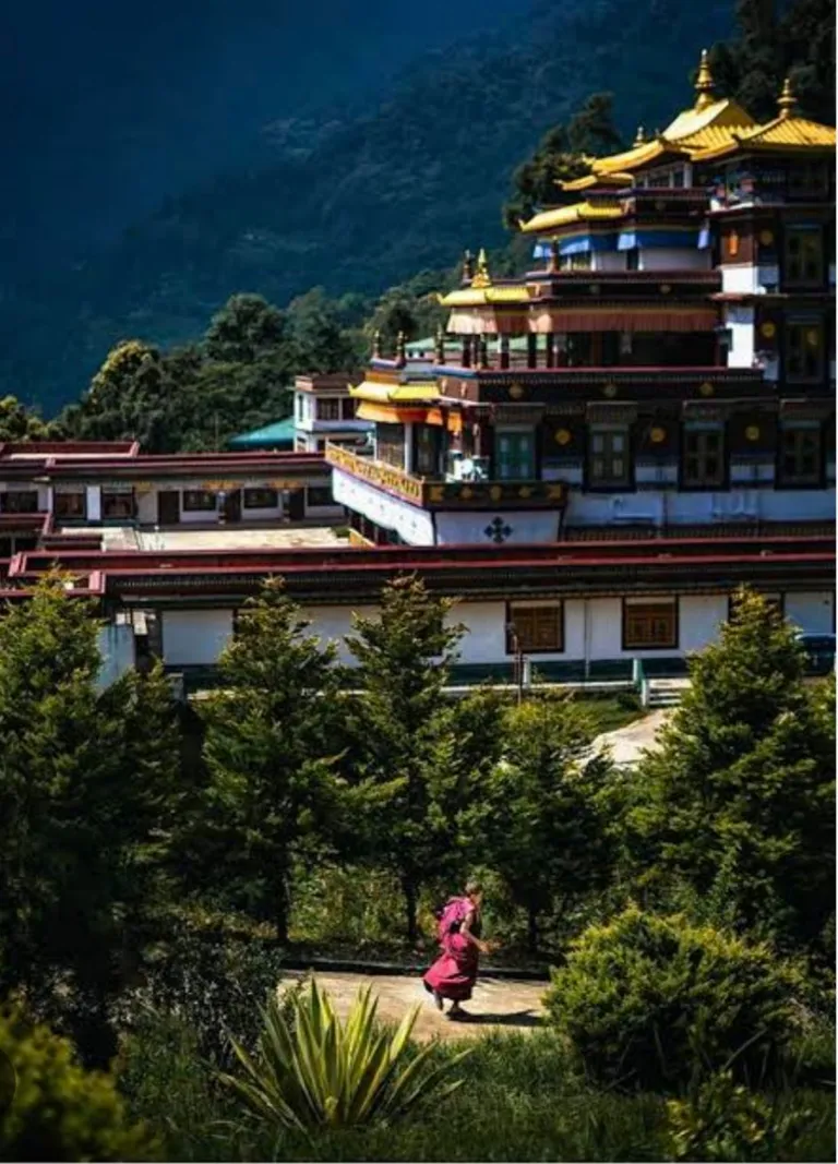 Gangtok Grand Expedia — photo 2