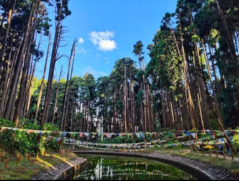 Darjeeling -queen Of Hills — photo 3