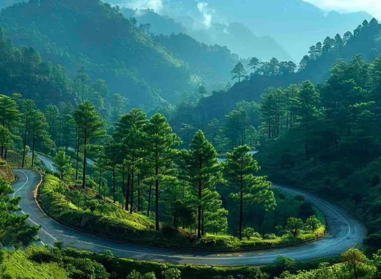 Dharamshala + Dalhousie Exclusive Expedition — photo 3