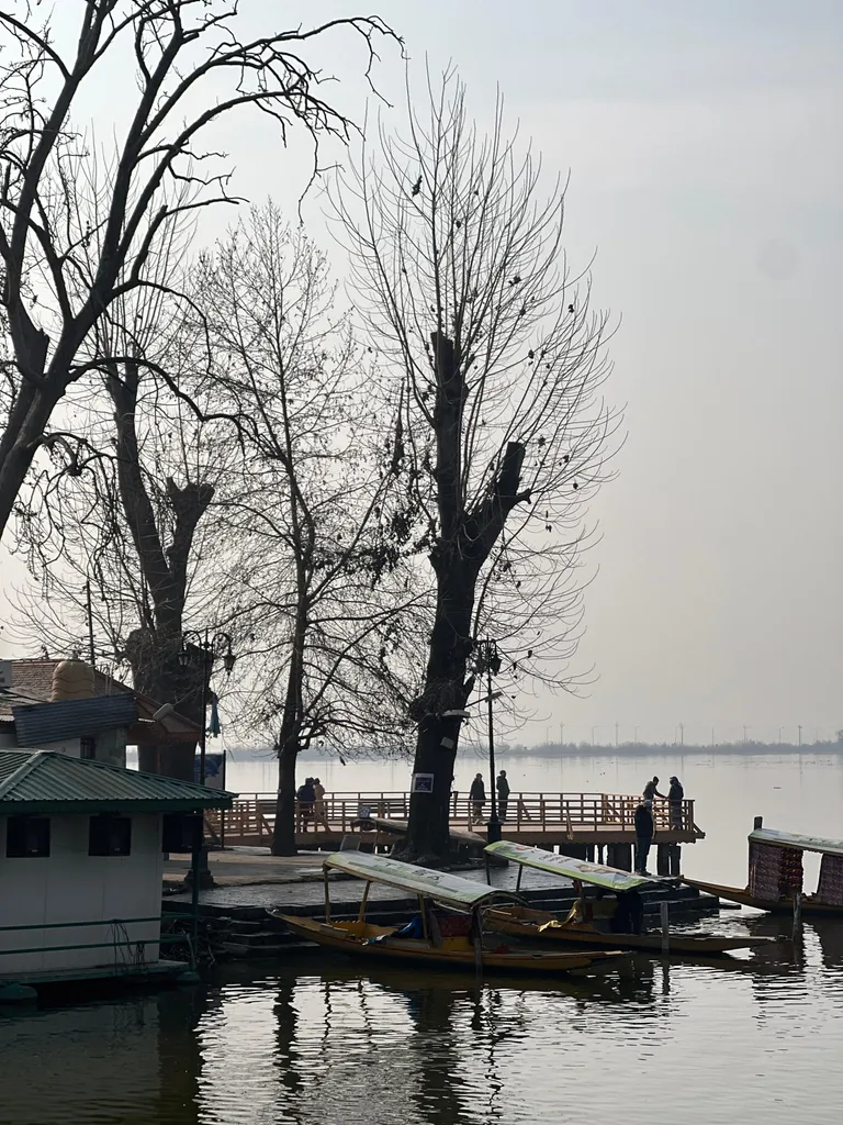 Joyfull Kashmir Trip — photo 4