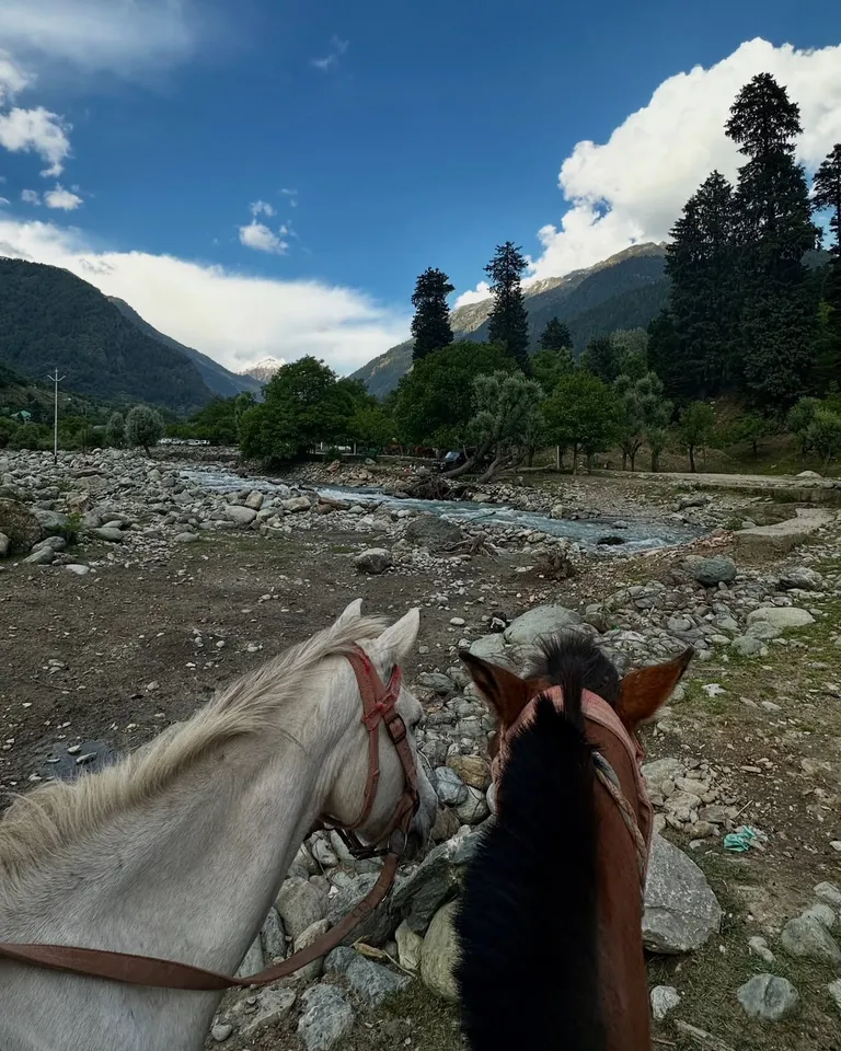 Kashmir Calling: Your Journey To Paradise — photo 3