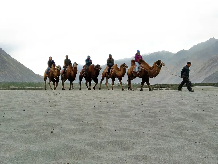 Ultimate Ladakh Explorer – 6 Nights / 7 Days — photo 5