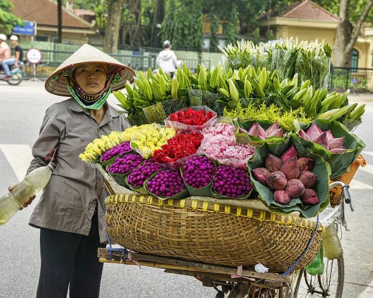 10 Days Vietnam Unveiled: Heritage, Halong & Saigon — photo 3