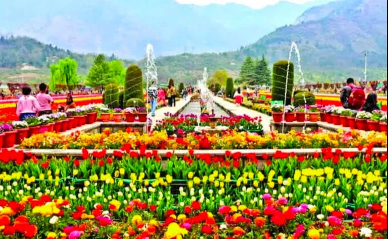 Grand Kashmir Heaven Explore — photo 3
