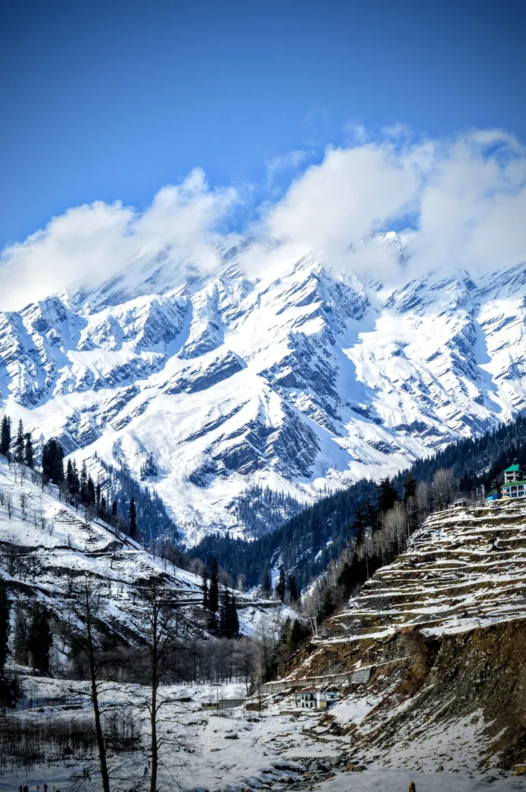 Dream Manali : Snow Nature & Unforgettable Mountains — photo 4