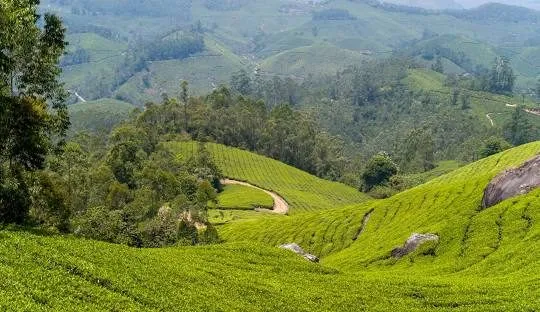Kerala Diwali Group Tour Packages — photo 5