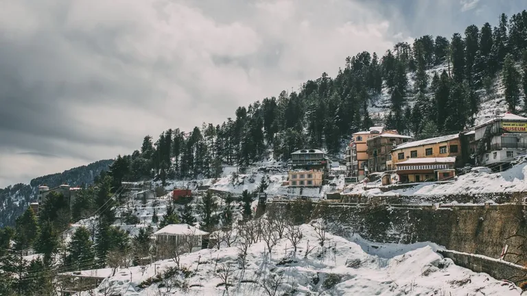 Shimla Manali 5 Night 6 Days — photo 2