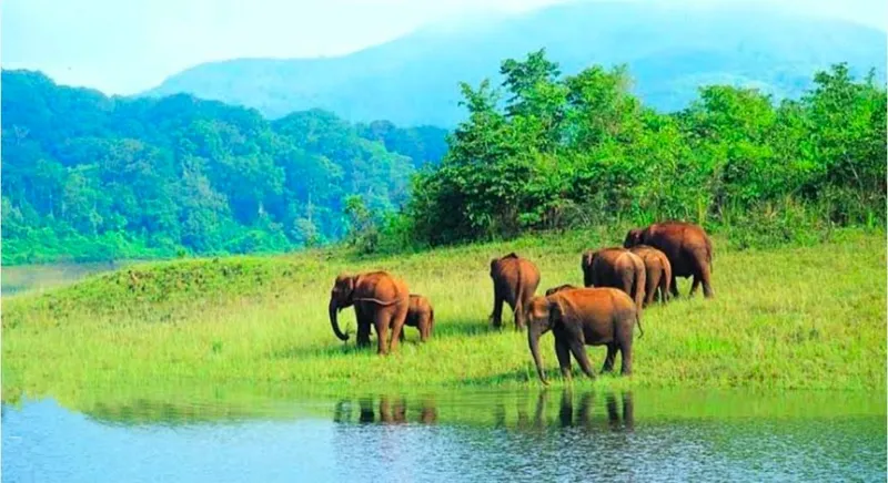 Flawless Kerala Explore
