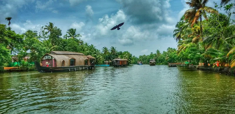 Kerala Monsoon Trip
